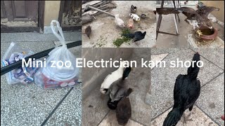 mini zoo Electrician saman lai i