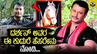 #DBoss ಫಾರ್ಮ್ ಹೌಸ್ ಗೆ ಹೊಸ ಕುದುರೆ ಎಂಟ್ರಿ | Darshan Farm House | Challenging Star Darshan #Kurukshetra