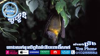 សំលេងសត្វជ្រឹង (Bat)