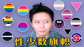 只知道彩虹旗代表lgbt？这些旗帜都代表什么呢？