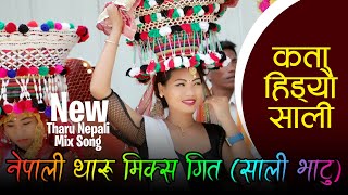 Kata Hideu Sali - Nautale Dharahara Ghumaidinu Bhatu | Tharu Song #saalibhatu