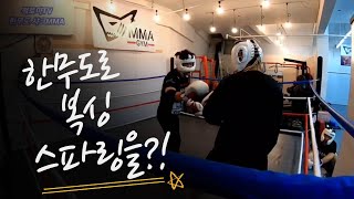 연습 스파링영상. 수도! 손날치기를 현대격투기에 사용 가능할까?  [한무도 샤크MMA] 권법 복싱 공수도 쿵푸 옛법택견