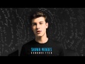 Shawn Mendes - Stitches (Audio & Download) 320 kbps