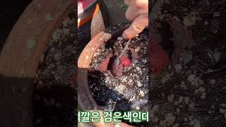 고추장이 오래되어서 엿같이 시커멓게 보여요. 산골 화전민