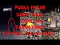 PADU GILA ((PUAKA HUTAN SAWIT VIRAL!!!)) PARANORMAL DZP DAUZ COLLAB ARAZZ PARA PART 1/3