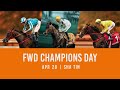 fwd champions day 2024 interview george boughey trainer believing