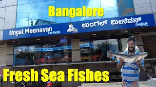 Ungal Meenavan in Bangalore | Fresh Sea Fishes in Bengaluru| Bengaluru