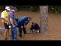 Camilo Villegas gets ruling on ball in pine straw at RBC Heritage