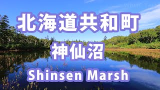 [Relaxing Nature Video - Shinsen marsh] 北海道癒し動画 神仙沼