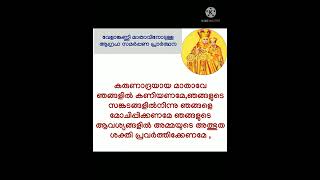 ആഗ്രഹിക്കുന്ന കാര്യങ്ങളിലെ തടസ്സങ്ങൾ മാറ്റുന്ന വേളാങ്കണ്ണി മാതാവിനോടുള്ള  ശക്തിയേറിയ പ്രാർത്ഥന