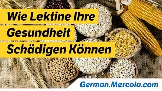 Wie Lektine Ihre Gesundheit Schädigen Können