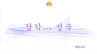 {감각적 성숙}  audio