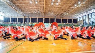 [4K] 京炎そでふれ！花風姿　『花繋』　はんなりよいしょ祭り 2018