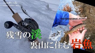 【渓流ルアーフィッシング】秋田県北　　　渓流解禁！渓流ベイトフィネスで攻める！北東北　秋田阿仁川　支流　2022トラウトフィッシングスタート