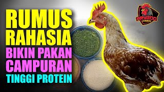 RUMUS RAHASIA Membuat Pakan Ayam Alternatif / Campuran Protein Tinggi