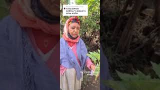 habesha home made medicine ( አጠፋሪስ)