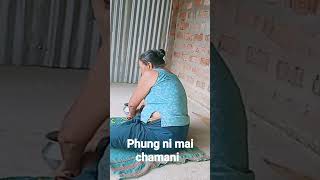 phung ni mai chamani