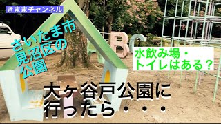 埼玉県さいたま市の　大ヶ谷戸公園に行ったら・・・　【ランニング】【ジョギング】【ポケ活】