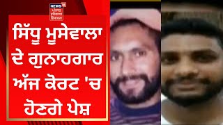 Sidhu Moosewala ਦੇ ਗੁਨਾਹਗਾਰ ਅੱਜ ਕੋਰਟ 'ਚ ਹੋਣਗੇ ਪੇਸ਼ | News18 Punjab