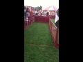 Pig race