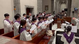 명동성당청년성가대엘리 | 20240317_via dolorosa(비아돌로로사)