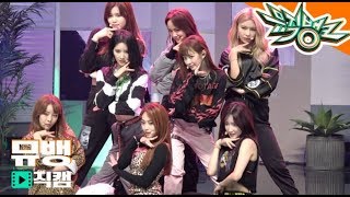 구구단(gugudan) - Not That Type / 181109 뮤직뱅크 직캠 full cam