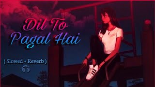 Dil To Pagal Hai | Slowed And Reverb | Songs Lyrics