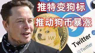 马斯克将推特Logo改为狗狗币表情，推动狗币暴涨，意欲何为？狗狗币究竟有何价值？