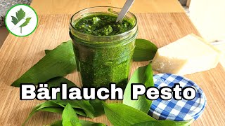 Bärlauch Pesto Rezept mit selbst gesammeltem Bärlauch