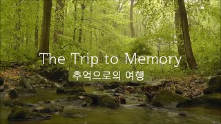 The Trip to Memory (숲속의 새소리와 잔잔한 시냇물소리와 함께 하는 피아노연주, 백색소음, 수면유도)