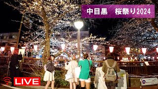 【LIVE】中目黒 桜まつり 2024 ライブ配信で目黒川散歩 Naka-Meguro Cherry Blossom Festival 2024 　3/30　01