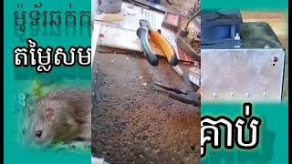 ម៉ូទ័រឆក់កណ្តុរ