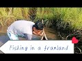 Fishing at my Farmland #dailyvlog #fishing