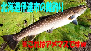 北海道、伊達市チマイベツ川河口の鮭釣り