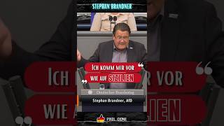 Politik Shorts #021 | Stephan Brandner geladene Kritik an Robert Habeck #shorts #deutschland