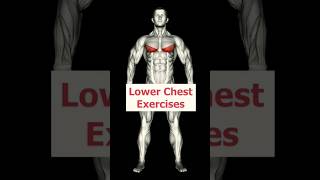 Best Chest Workouts 💪 || Lower chest workout || #shorts #chestworkout