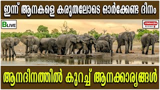 Elephant Day 2022| ഇന്ന് ആനകളെ കരുതലോടെ ഓർക്കേണ്ട ദിനം | ആനദിനത്തിൽ കുറച്ച് ആനക്കാര്യങ്ങൾ:BLive News