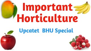 BHU important agriculture solved questions(horticulture)