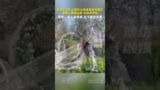 【婚礼】历时5个月，公婆为儿媳准备草坪婚礼，全家人集体出动，从种草开始 #shorts #婚礼