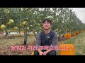 사과로 연매출 4억 올린 비법 🍎