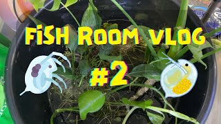 fish room vlog #2