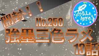 メダカ 開封 13話　＜強墨三色ラメ＞がやってきた!　No.258  #17