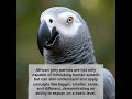 did you know fascinating animals fact part 38