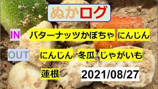 【ぬか漬け記録 21/08/27 】  蓮根  冬瓜  じゃがいも  にんじん (引き上げ動画あり)