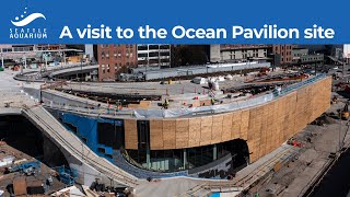 A visit to the Ocean Pavilion site