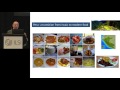 ilsi am2016 latin american food intake patterns and relation to health mauro fisberg