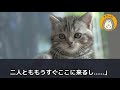 【スカッと★総集編】介護してた93歳の母が他界した途端、夫「次は俺の両親の介護なｗ」私「同居する気だったの？住む家もないくせにｗ」→何も知らない夫の末路がｗ【修羅場】