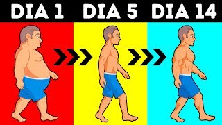 Quantas Calorias Você Deve Consumir Para Perder Peso?