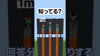 ブロック１辺の長さは何メートルでしょう？【マイクラクイズ直下掘り】