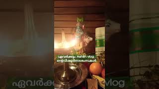 വിഷു ആശംസകൾ # മേടം #AshithVlog#വിഷുക്കണി